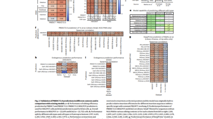 Advancements in Machine Learning Models and Chromatin Context for Optimizing Prime Editing Efficiency