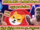 Shiba Inu New All time high Prediction - தமிழ் Crypto News latest - XRP daily profits - Bitcoin Ramp