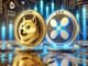 Dogecoin price XRP