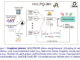 MALPOLON: A Cutting-Edge AI Framework Designed to Enhance Species Distribution Modeling Through the Integration of Geospatial Data and Deep Learning Models