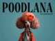 Poodlana price prediction: will it rise despite the post-presale decline?