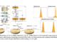 Researchers from MBZUAI and CMU Introduce Bi-Mamba: A Scalable and Efficient 1-bit Mamba Architecture Designed for Large Language Models in Multiple Sizes (780M, 1.3B, and 2.7B Parameters)