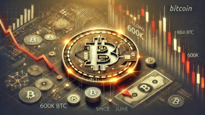 Bitcoin Wallets Holding 10-100 BTC Drop By 600K BTC Since June – Millionaires Cashing Out?