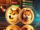 Dogecoin Shiba Inu