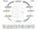 Chain-of-Associated-Thoughts (CoAT): An AI Framework to Enhance LLM Reasoning